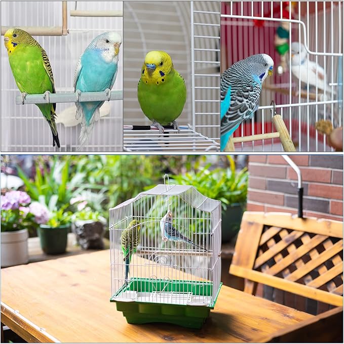 Small Bird Travel Cage - The Lightweight Small Birds Starter Kit with Birdcages and Accessories Great for Parakeets Lovebirds Parrotlets Finches Canaries