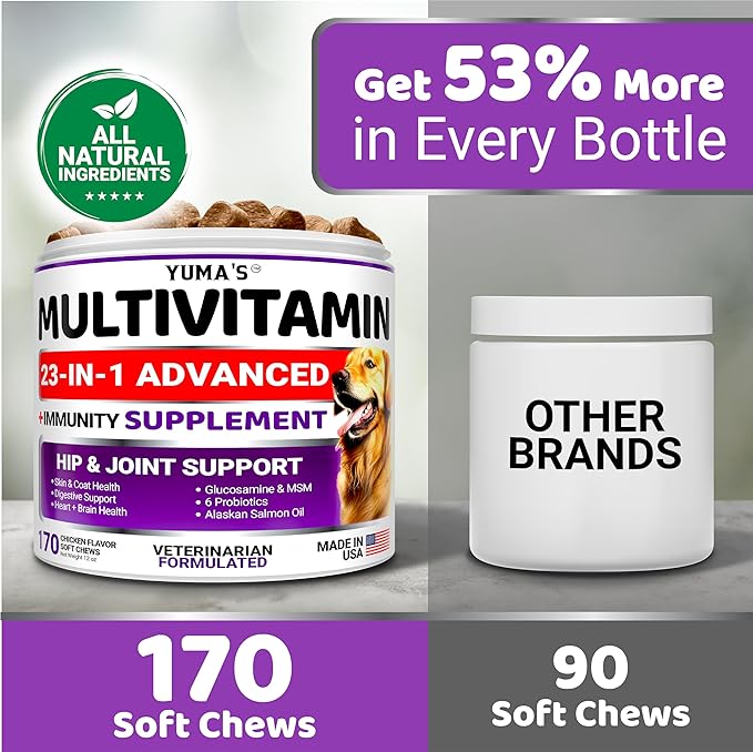 Dog Multivitamin Chewable with Glucosamine - Dog Vitamins and Supplements - 170 Treats - Senior & Puppy Multivitamin for Dogs - Hip & Joint Support - Immune Health, Skin, Heart, Digestion, Probiotics