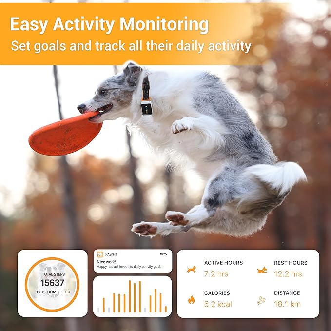 3 GPS Pet Location and Activity Tracker for Dogs |Smart and Affordable Safety and Health Solution| Live Location Tracking| Unlimited Range| Escape alerts | Remote Voice Recall|100% Waterproof