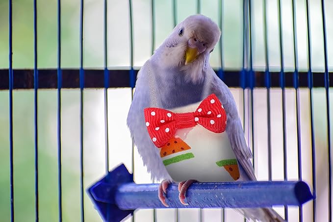 Bird Diaper Parrot Washable Diapers, Parrot Flight Suit, Parakeet Diaper Reusable Nappies for Parakeet Cockatiel Mini Macaw Budgie Canary 2 Pcs (M, Red & Yellow)