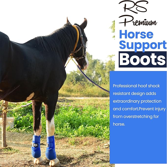 RS Premium Design Horse Boots, Protective and Shock Absorber | Horse Fly Boots Best for Jump Training and for Trails | Ok Fabric Provides Ultimate Flexibility (Blue, Large)