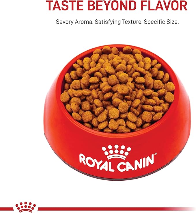 Royal Canin Miniature Schnauzer Puppy Breed Specific Dry Dog Food, 2.5 lb bag