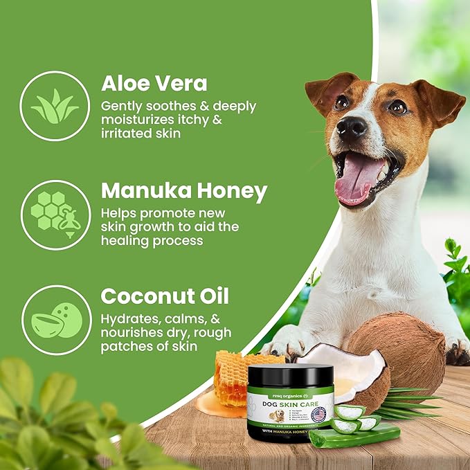 Hot Spot Treatment for Dogs, Cats & Pet Wound Care: Healing Ointment for Pets Itchy Skin Relief, Dry Skin Treatment, Natural Allergy Relief, Dog Paw Balm + Manuka Honey, Aloe Vera, Vitamin E (2 Oz.)