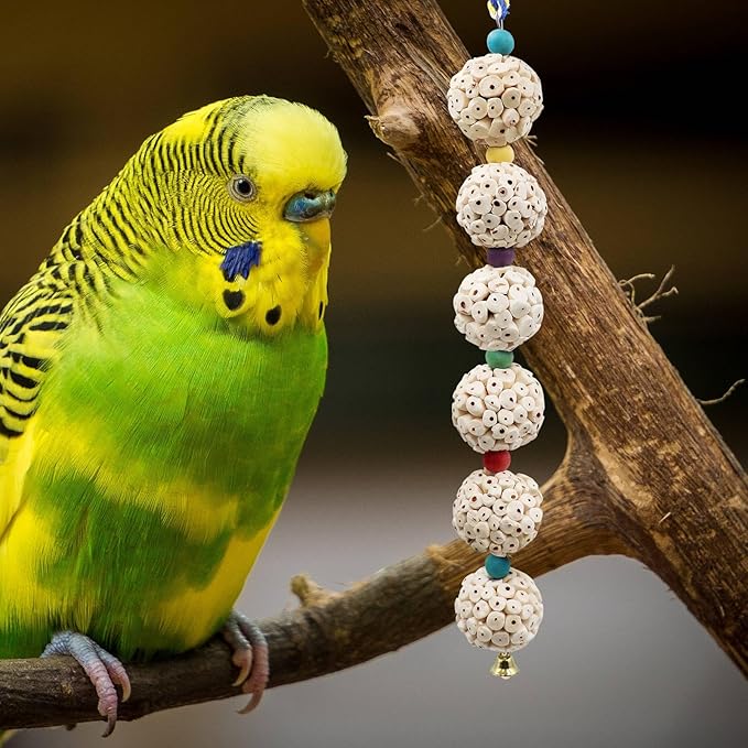 Bird Chewing Toy, Bird Sola Ball Toy with Bell, Bird Cage Accessories, Cage Toys for Cockatiel Parakeet Parrot Budgies Rat Hamster Chinchilla Rabbit Bunny African Grey