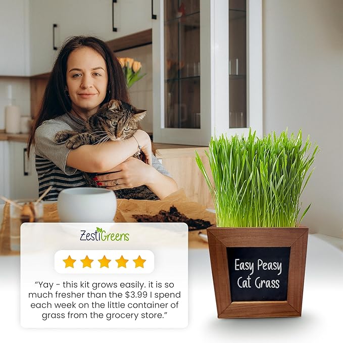 Organic Indoor Cat Grass Kit - 3 Wooden Planters, Certified Seeds, and Premium Soil for Happy Cats. Delight Your Feline Friends with The Ultimate Cat Grass Experience! Ideal Gift for Cat Lovers.