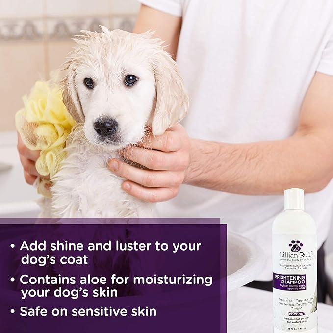 Lillian Ruff Ultra-Brightening Professional Whitening Shampoo for Dogs with Aloe & Coconut Oil for Dry Skin & Itch Relief - pH-Balanced Dog Whitening Shampoo Remove Stains Yellowing Odor (16oz/Brush)