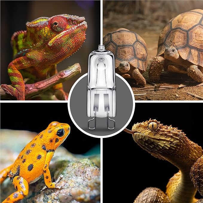 Briignite G9 Heat Lamp Bulbs for Reptile, Mini Reptile Light, Dimmable G9 Mini Heat Bulbs Warm White 50W, 2 Pin Base UVA Reptile Heat Lamp, Bearded Dragon Gecko Turtle Lizard, 6 Pack