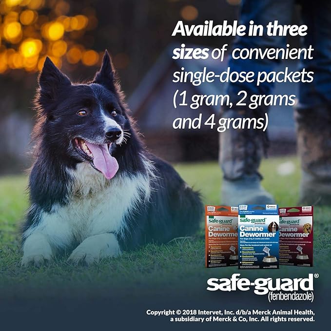 SAFE-GUARD (fenbendazole) Canine Dewormer for Dogs, 2gm pouch (ea. pouch treats 20lbs.), Blue, 0.07 Ounce (Pack of 3) (033576/001-033576)