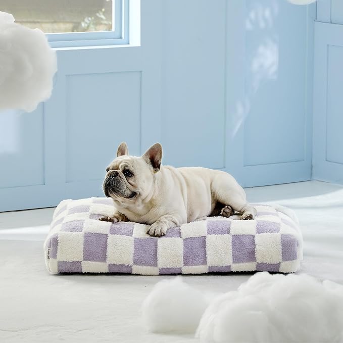 Lesure Dog Bed Medium Size Dog-Thick Shredded Chopped Foam Pet Bed, Dog Bed Indoor with Removable Cover, Cute Modern Fuzzy Plush & Anti Slip Bottom(30'x20', Purple)