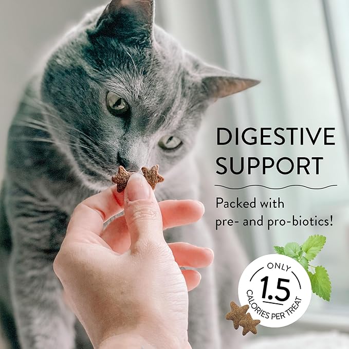 Shameless Pets Digestive Health Catnip Chicken Crunchy Cat Treats