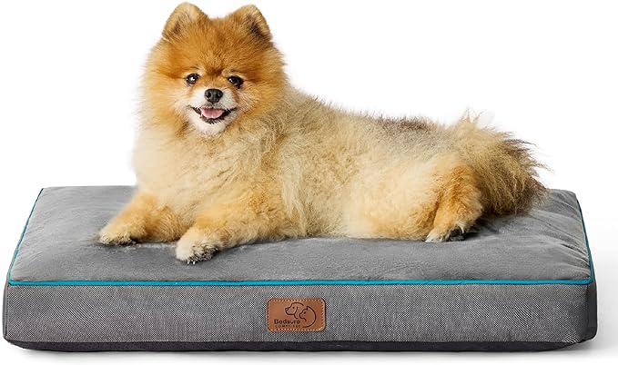 Bedsure Waterproof Dog Beds for Small Dogs - 4 inch Thicken Up to 20lbs Small Dog Bed with Removable Washable Cover, Pet Bed Mat Pillows, Grey