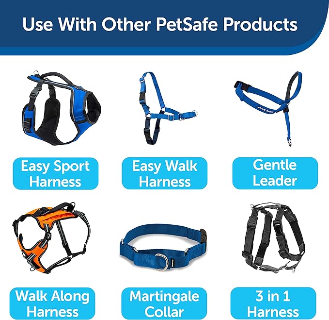 PetSafe Nylon Dog Leash - Strong, Durable, Traditional Style Leash with Easy to Use Bolt Snap - 1 in. x 6 ft., Royal Blue