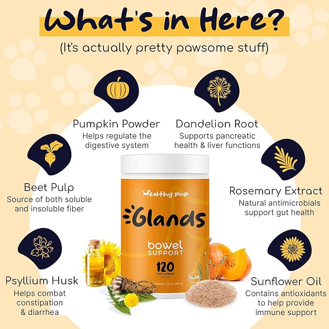 Glands Bowel Support - 120 Delicious Scoot Soft Chews for Scooting, Healthy Anal Glands, and Digestive Health - Made with Pumpkin Powder for Dogs