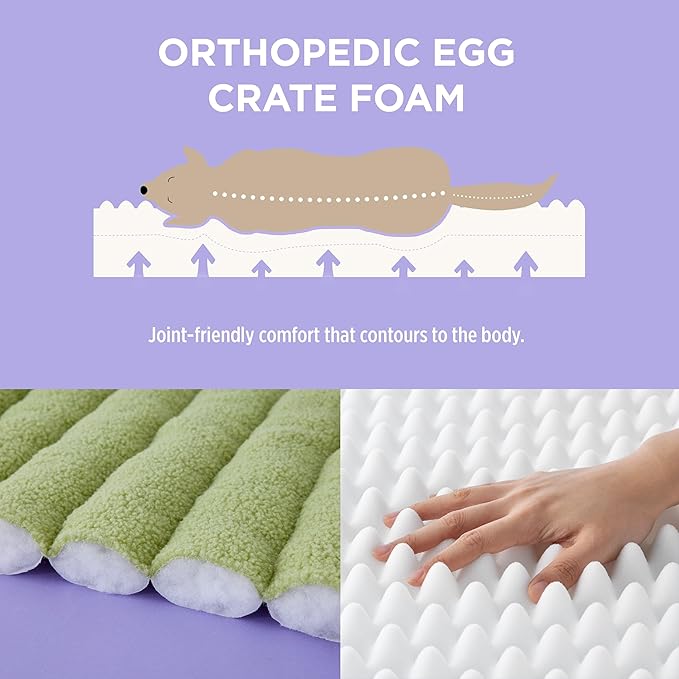 Lesure Orthopedic Dog Bed Sofa for Medium Dogs, Waterproof Dog Couch with Removable Washable Cover, Cute Aesthetic Pet Sofa Couch with Egg Crate Foam(28" x 23" x 10", Green)
