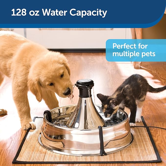 PetSafe Stainless 360 Pet Fountain - 1 Gallon (128 oz) Dog and Cat Water Fountain - Water Filters Remove Hair - Water Dispenser Entices Pets to Drink - Customizable Cat and Dog Water Bowl Dispenser