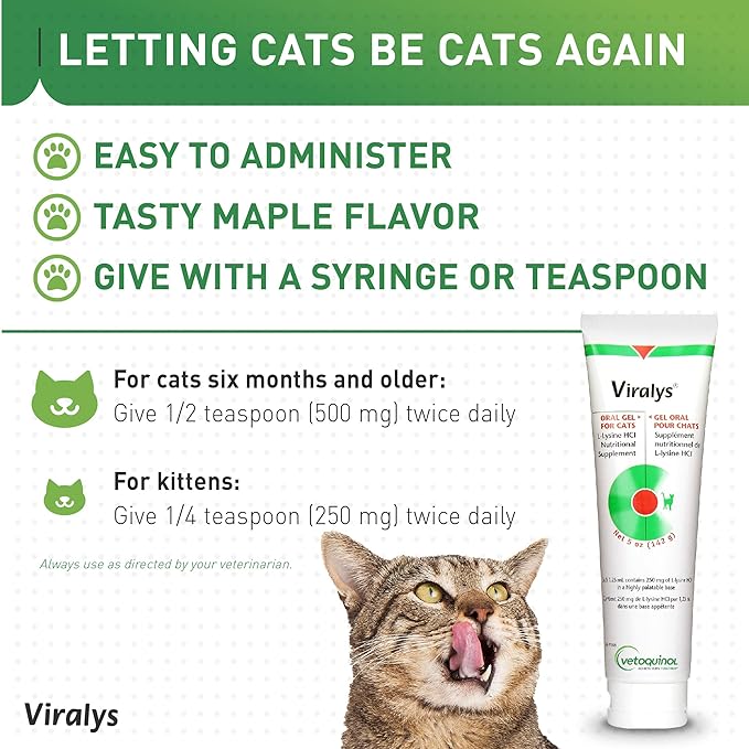 Vetoquinol Viralys Gel L-Lysine Supplement for Cats, 5oz - Cats & Kittens of All Ages - Immune Health - Sneezing, Runny Nose, Squinting, Watery Eyes - Palatable Maple Flavor Lysine Gel