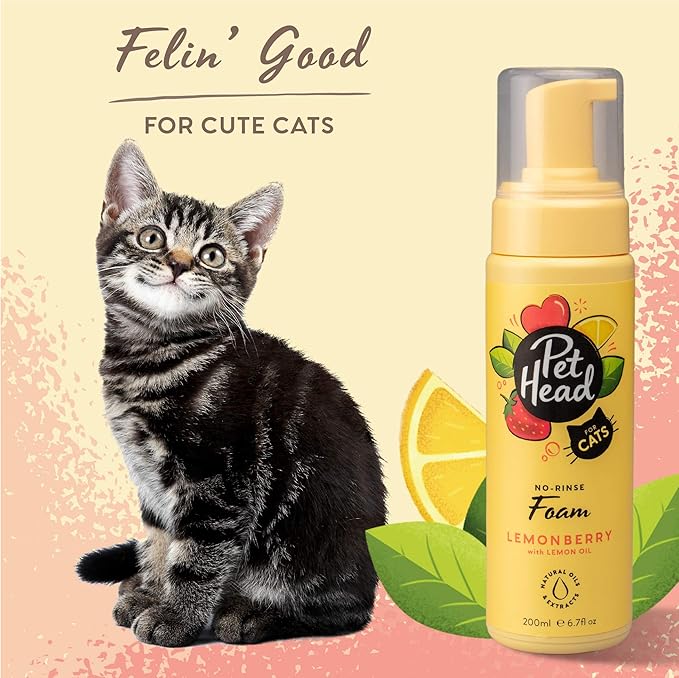 PET HEAD Felin’ Good Foam Shampoo for Cats 6.7 fl. oz. Fruity Scent. No-rinse and Quick-drying Cat Shampoo. Hypoallergenic with Natural & Vegan Ingredients. Gentle Formula for Kittens. Made in USA