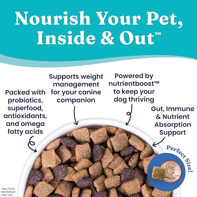Solid Gold Nutrientboost Fit and Fabulous Dog Food - Dry Dog Food for Weight Control - Digestive Probiotics for Dogs - Grain & Gluten Free - High Fiber & Low Fat - Superfoods & Antioxidants - 3.75 LB