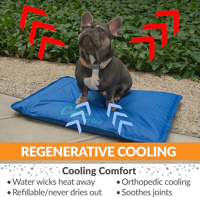 K&H Pet Products Cool Bed III Dog Cooling Mat, Cooling Dog Beds for Large Dogs, Dog Cooling Mat for Dog Carrier, Outdoor Dog Bed Cooling Pad for Dog, Pet Cooling Mat - Blue Large 32 X 44 Inches
