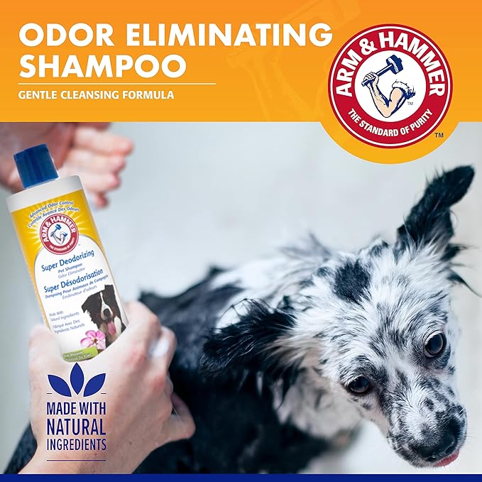 Arm & Hammer for Pets Super Deodorizing Shampoo for Dogs | Best Odor Eliminating Dog Shampoo | Great for All Dogs & Puppies, Fresh Kiwi Blossom Scent, 16 oz - 6 Pack