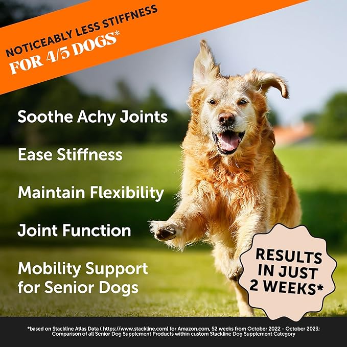 Pet Honesty Senior Hemp Hip & Joint Supplement for Dogs - Dog Joint Supplement with Hemp Oil & Powder, Glucosamine for Dogs, Collagen, MSM & Green Lipped Mussel - Mobility for Senior Dogs (Chicken 90)