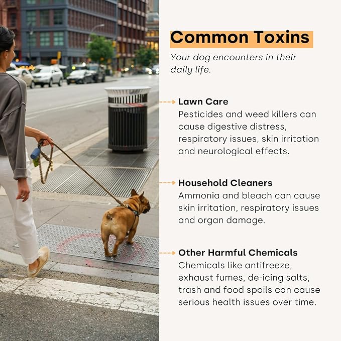 Kayode City Dog Detox - Dog Liver Supplement & Dog Anti Inflammatory. Helps Detoxify and A Natural Dog Skin Irritation Treatment. Itch Relief Dog Chews & Dog Liver Support. with Milk Thistle for Dogs