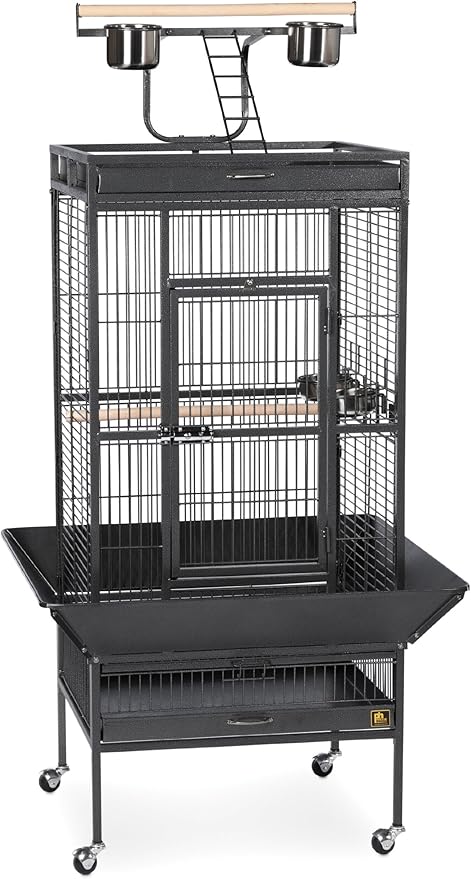 Prevue Pet Products 3152BLK Wrought Iron Select Bird Cage, Black Hammertone