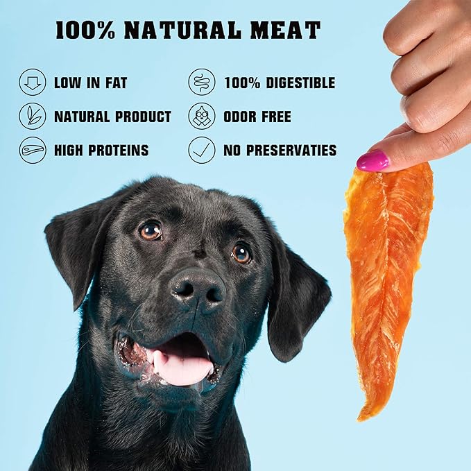 Chicken Jerky Dog Treats 1.5 Lb - Human Grade Pet Snacks & High Protein Meat - All Natural High Protein Dried Strips - Best Chews for Training Small & Large Dogs - Bulk Soft Pack Made for USA