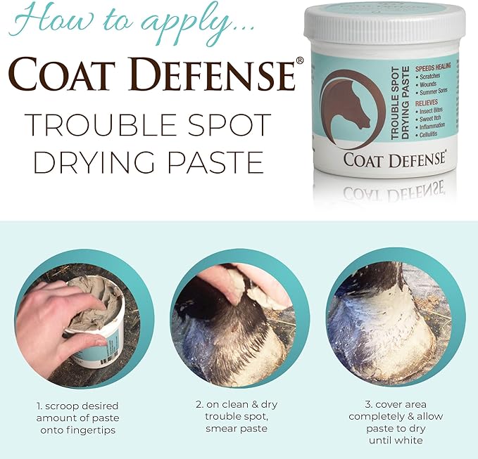 COAT DEFENSE Trouble Spot Drying Paste for Horses - Natural Equine Wound Care That Provides Safe & Effective Relief from Scratches, Sweet Itch, Summer Sores, Proud Flesh, Mud Fever, Girth Rot (24 Oz)