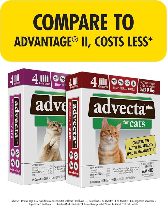 Plus Flea Prevention For Cats, Cat and Kitten Treatment & Control, Small and Large, Fast Acting Waterproof Topical Drops, 4 Month Supply