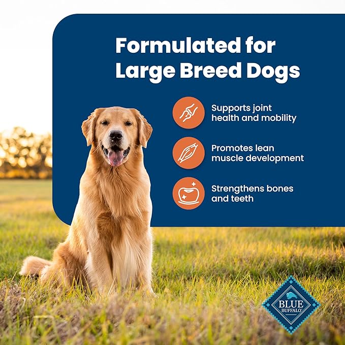 Blue Buffalo Life Protection Formula Large Breed Adult Dry Dog Food, Promotes Joint Health and Lean Muscles, Made with Natural Ingredients, Chicken & Brown Rice Recipe, 15-lb. Bag