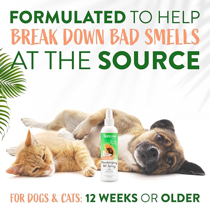 TropiClean Papaya Dog Perfume Spray Long Lasting | Naturally Derived Odor Removing Dog Deodorizing Spray | Cat Friendly | Made in USA | 8 oz.