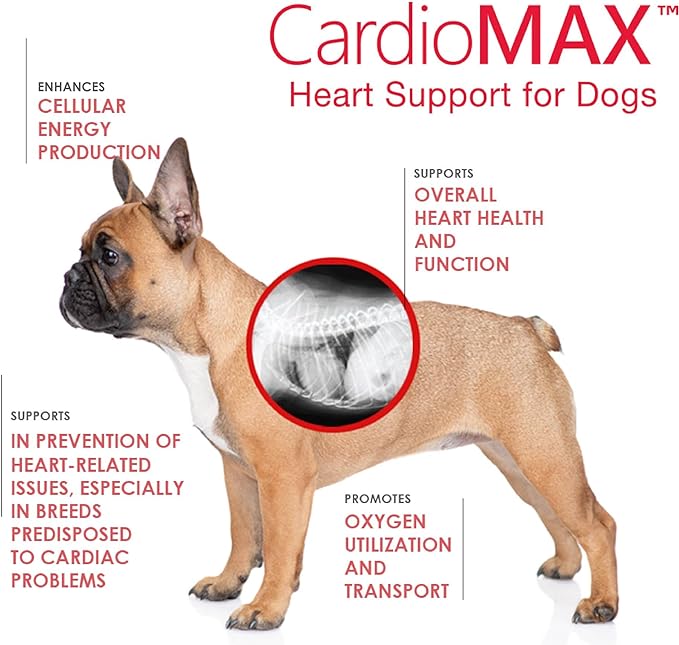 Cardio MAX Heart Support Supplement for Dogs - L-Taurine, L-Carnitine, EPA and DHA, Coenzyme Q10 - Aids Circulatory Strength, Cardiovascular Support, Heart Muscle Function- 60 Soft Chews