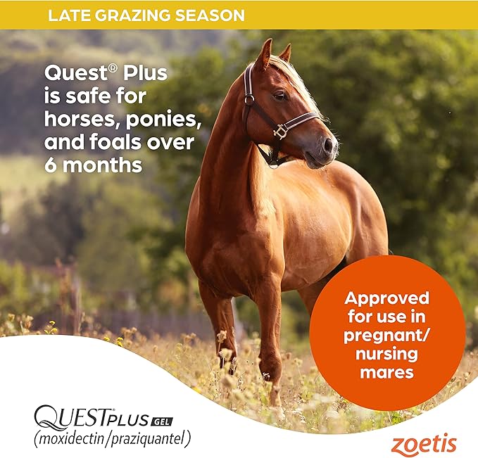 Quest Plus Gel Moxidectin/ Praziquantel Horse Dewormer, Late Grazing Season recommended for Horses and Ponies 6 months and older, 0.5oz Sure-Dial Syringe