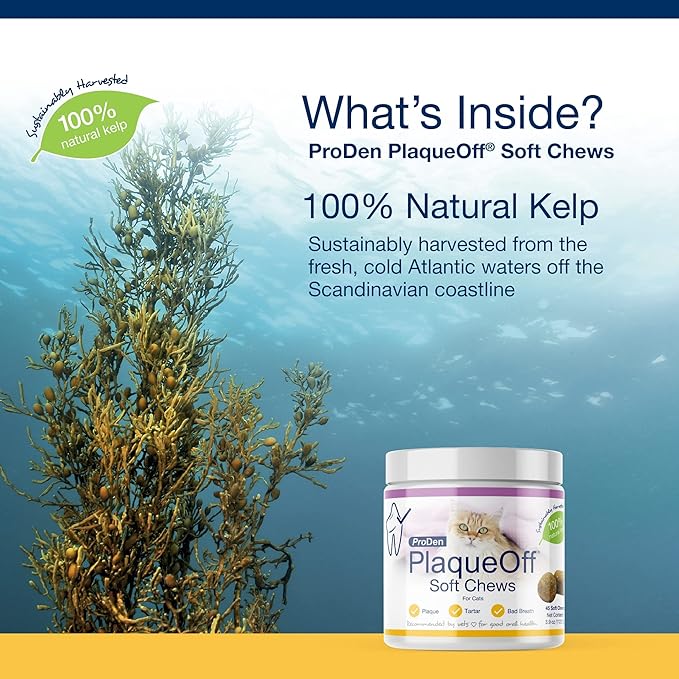ProDen PlaqueOff Soft Chews with Natural Kelp - for All Breed Cats - Supports Normal, Healthy Teeth, Gums, and Breath Odor in Cats - 45 Soft Chews