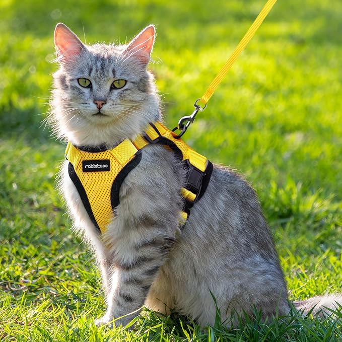 rabbitgoo Cat Harness and Leash for Walking, Escape Proof Soft Adjustable Vest Harnesses for Cats, Easy Control Breathable Reflective Strips Jacket, Yellow, M