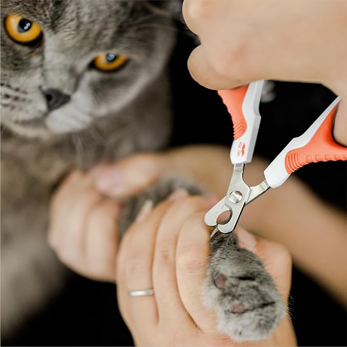 Mr. Pen- Cat Nail Clipper, Coral, Cat Nail Trimmer, Cat Nail Clippers, Cat Claw Clippers, Cat Clippers for Nails, Pet Nail Clippers, Kitten Nail Clipper, Small Dog Nail Clipper, Cat Claw Trimmer