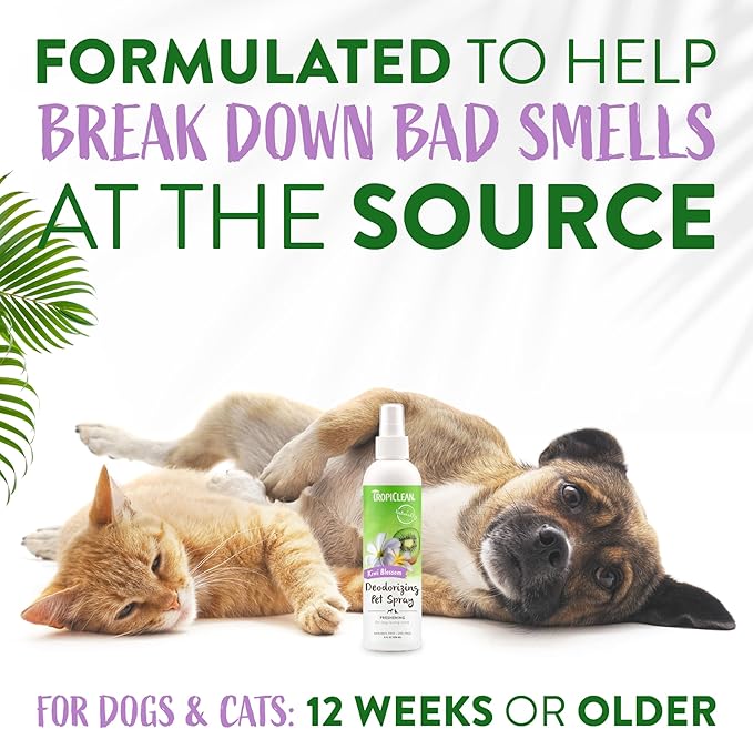 TropiClean Kiwi Blossom Dog Perfume Spray Long Lasting | Naturally Derived Odor Removing Dog Deodorizing Spray | Cat Friendly | Made in USA | 8 oz.