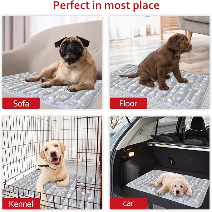 Dog Crate Mat (24" X 18"), Soft Dog Bed Mat with Cute Prints, Personalized Dog Crate Pad, Anti-Slip Bottom, Machine Washable Kennel Pad
