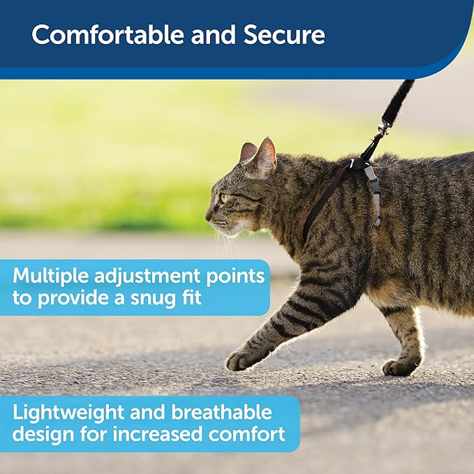 PetSafe Come with Me Kitty Harness and Bungee Leash, Harness for Cats, Large, Black/Silver