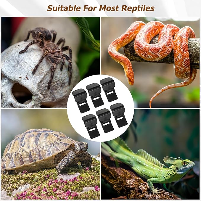 Food Containers Reptile Feeding Tank, 6pcs Plastic Tortoise Breeding Tank Lock Buckle, Glass Turtle Terrarium Lock Buckles -Escape for Aquariums Fish Tank Reptile Box Plastic Containers