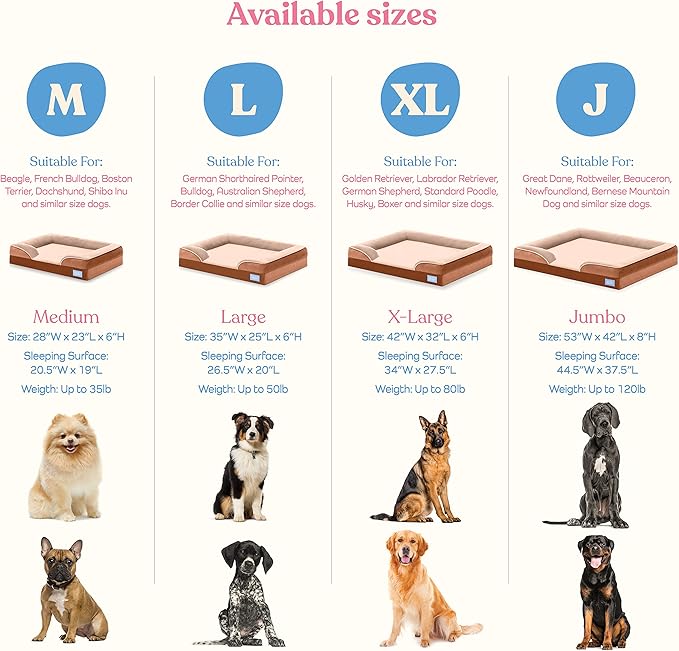 Pitpet Large Dog Bed - Orthopedic Foam, Plush Velvet, Waterproof, Easy Care, Dog-Friendly