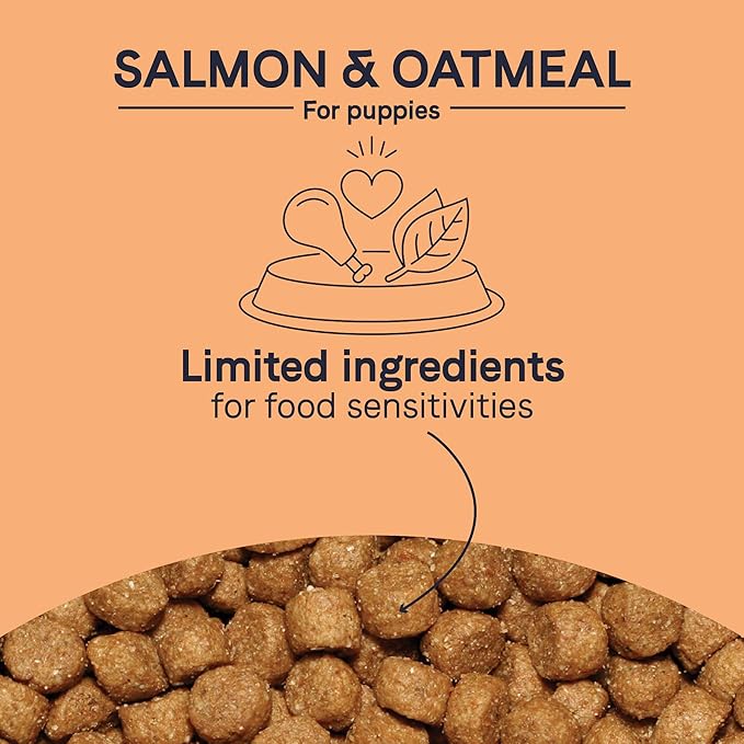 CANIDAE Pure PUPPY Real Salmon & Oatmeal Recipe Dry Dog 4 LB