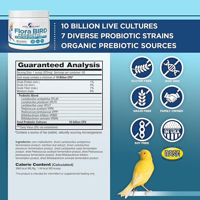 Vital Planet - Flora Bird Probiotic Powder Supplement with 10 Billion Cultures and 7 Diverse Strains, High Potency Probiotics for All Birds for Avian Digestive and Immune Support 80 Scoops 1.06 oz