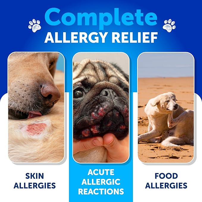 Dog Allergy Relief Chews - Dog Itching Skin Relief Treatment Pills - Itchy and Paw Licking - Anti-Itch Support - Immune Skin & Coat Supplement - Dry Skin and Hot Spots - 180 Treats