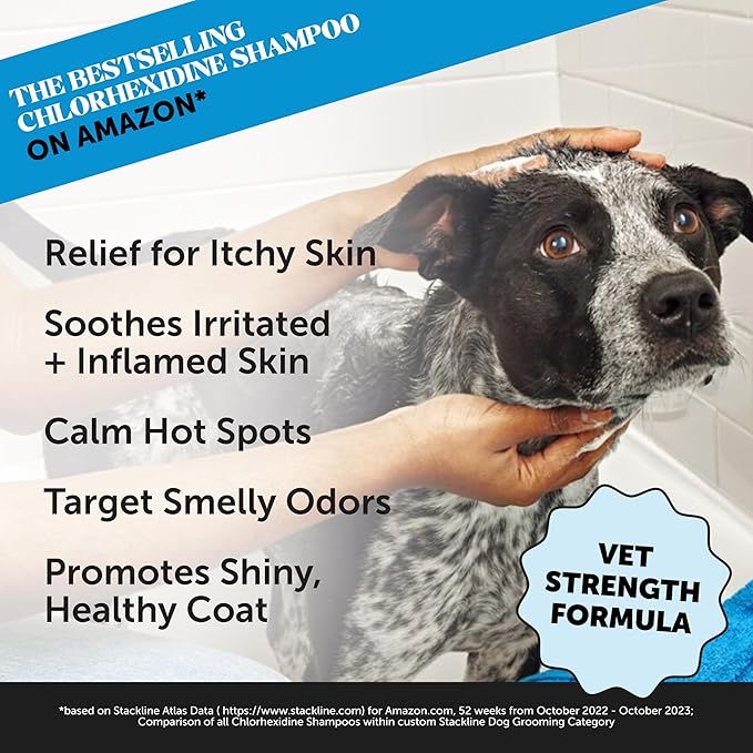 Pet Honesty Chlorhexidine Cat & Dog Anti-itch Shampoo, for Allergies, Itching, Dog Skin and Coat Supplement, Helps Shedding, Hot Spots, Deodorizing Dog Shampoo, Dog Grooming Supplies,16oz