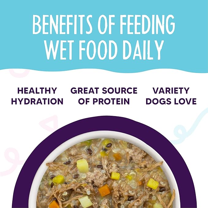 Weruva Meals 'n More Natural Wet Dog Food, Steak Frites Dinner Plus Skin & Coat Health, 3.5oz Cup (Pack of 12)