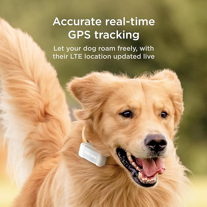 Petcube GPS Tracker for Dogs | Pet GPS Location Tracker with Escape Alerts and Virtual Fences, Activity and Wellness Monitoring, Glows in a Dark, Water and Dust Proof