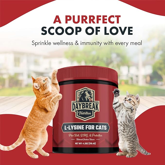 L-Lysine for Cats and Kittens - 900 mg L Lysine Powder for Cats for Immunity & Respiratory Support - Cat Supplement with L-Lysine, Prebiotics, Krill, & DMG for Immune System, Eye Health & Sneezing