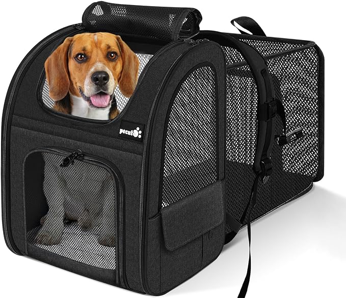 Pecute Pet Carrier Backpack, Large Cat Carrier Backpack, Expandable Cat Backpack with Breathable Mesh for Medium Large Cats, and Small Dogs, Dog Backpack Carrier for Travel Hiking Black